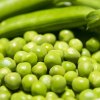 green-peas-free-photo2