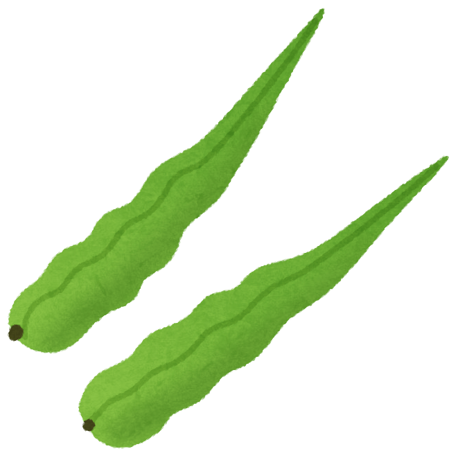 vegetable_sayadaikon