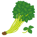 vegetable_mitsuba