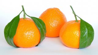 1200px-Mandarin_Oranges_(Citrus_Reticulata)